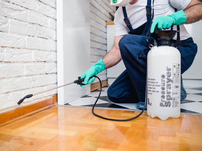 technician spraying pesticide