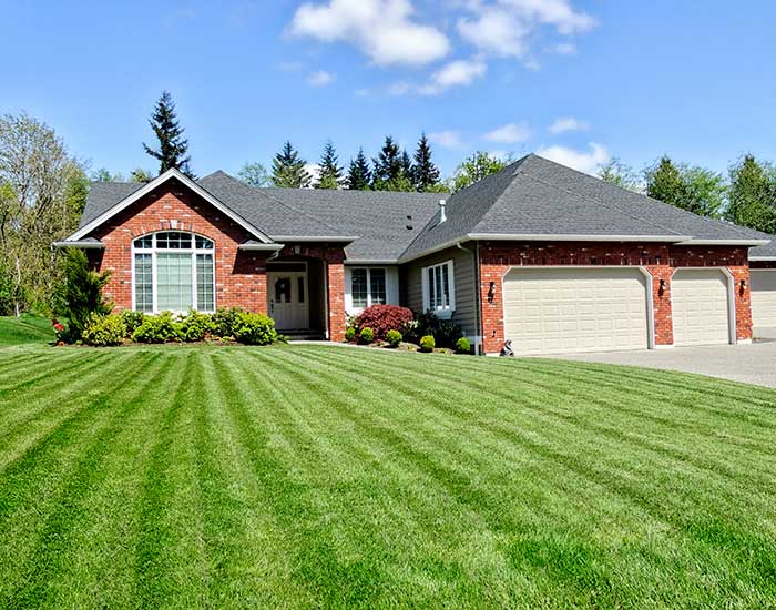 lawn with house