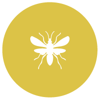 mosquito-icon
