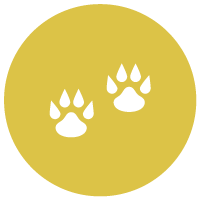 paws-icon